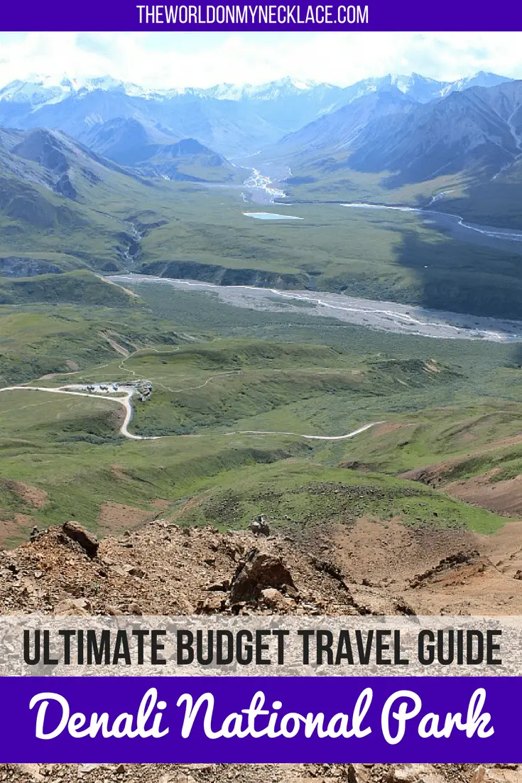 Ultimate Budget Travel Guide to Denali National Park