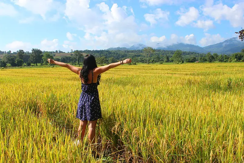 Enjoying a rice paddy in Pai on my birthday during month five of digital nomad life