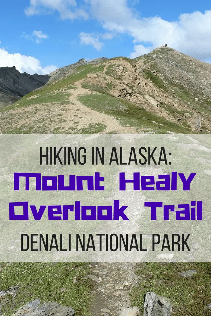 Hiking in Alaska: Mount Healy Overlook Trail in Denali National Park