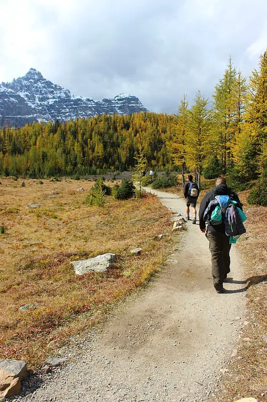 Hiking Larch Valley to Sentinel Pass- a Moraine Lake hike in Banff National Park
