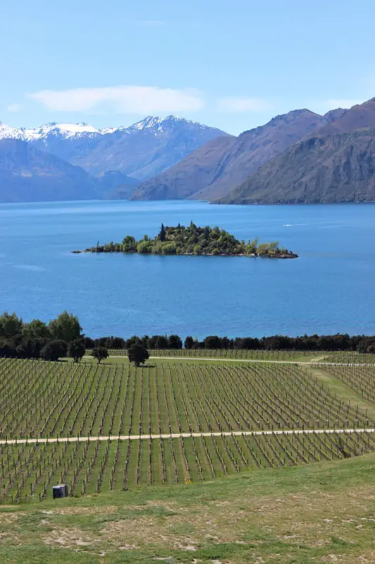 Views from Rippon Vineyard in the Otago Region of New Zealand