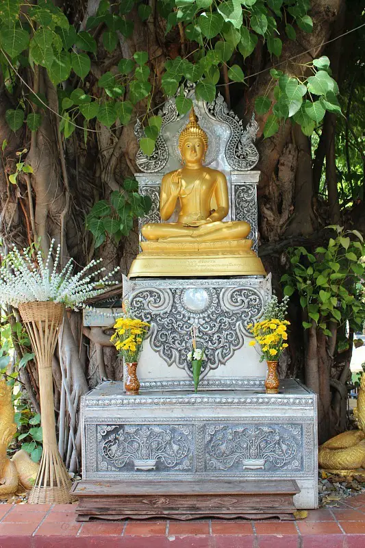 Golden Buddha in Chiang Mai, Thailand
