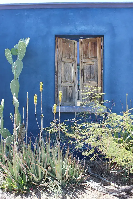 Photographing colorful Tucson houses during month 10 pf digital nomad life