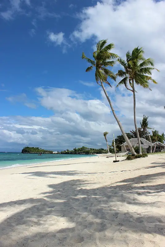 palm-trees-and-beaches-on-malapascua-island