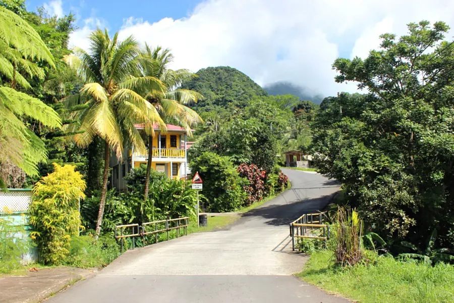 Road through the jungle on Dominica, one of few offbeat islands in the Caribbean