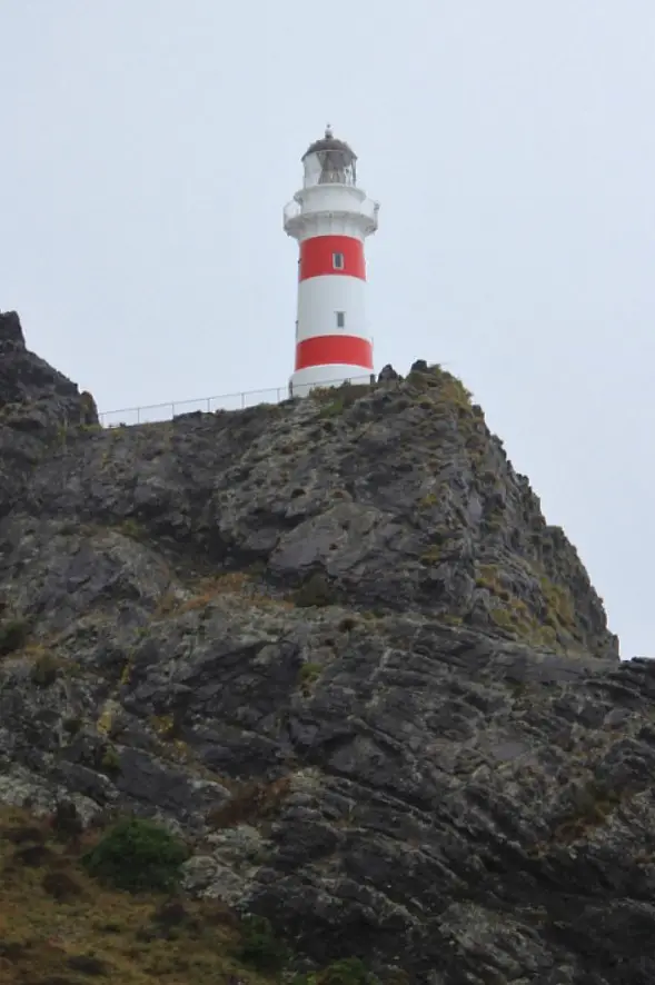 Lighthouse at Cape Palliser on our NZ Glamping Wairarapa trip