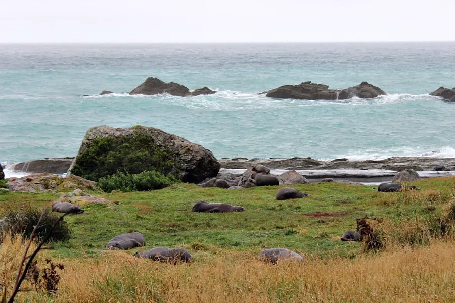 Rugged coastline near Cape Palliser