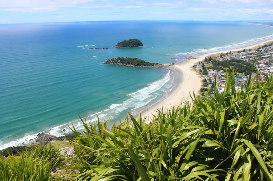 View from Mount Maunganui