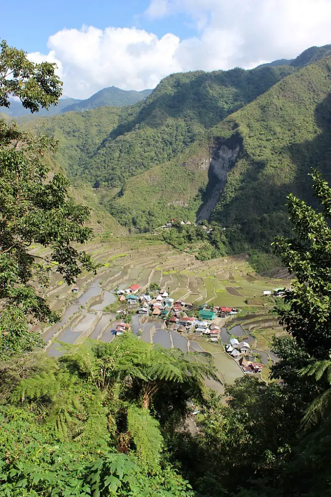 Rice Terraces in Batad from above 