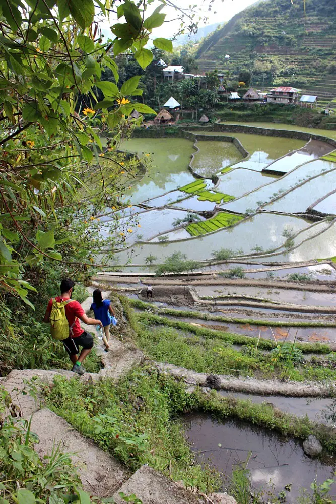 Hiking down the rice terraces in Batad in the Philippines