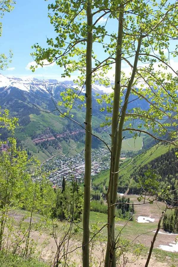 Views over Telluride from the Ridge trail