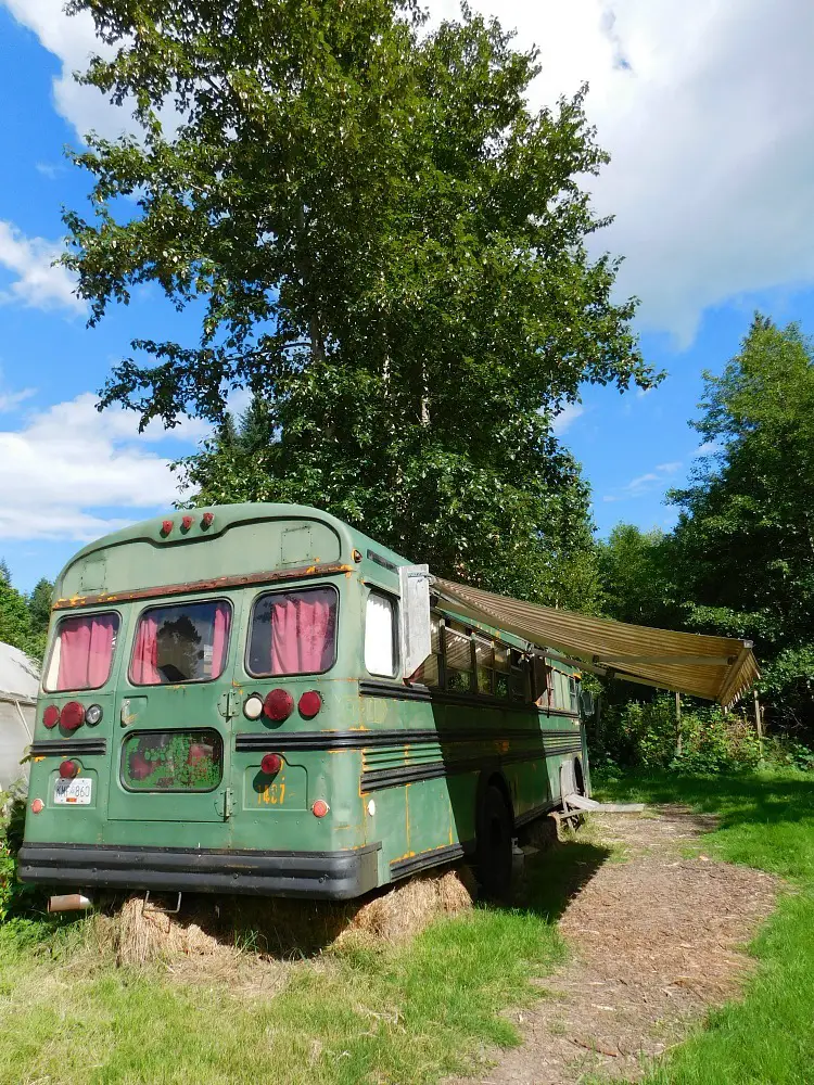 Bus Accommodation on Salt Spring Island Canada as found on Glamping Hub - visited during month twenty four of Digital Nomad life