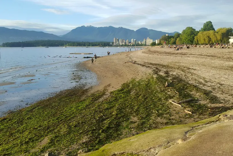 Kitsilano Beach in Vancouver Canada - visited during month twenty four of digital nomad life