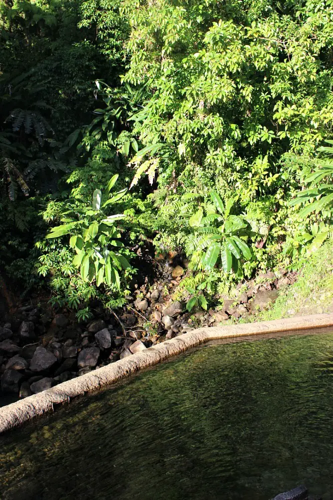 Pool at entrance to Titou Gorge on Dominica