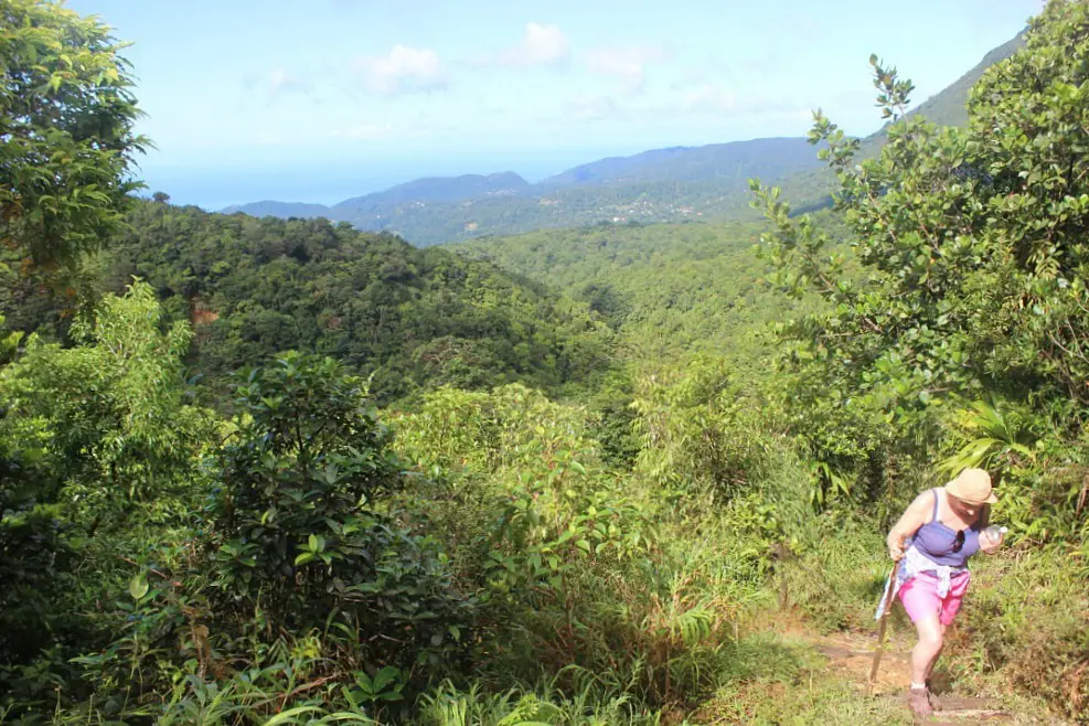 Hiking up Morne Nicholls on the way to the Boiling Lake in Dominica