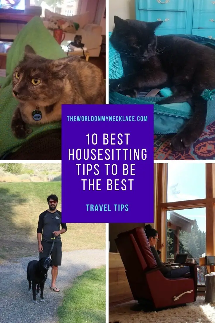 How to Become a Housesitter: 10 Best Housesitting Tips