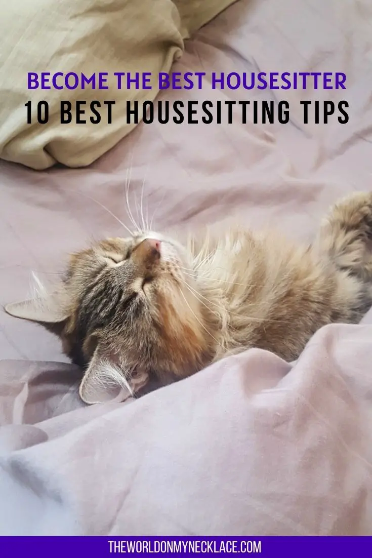 10 Best Housesitting Tips