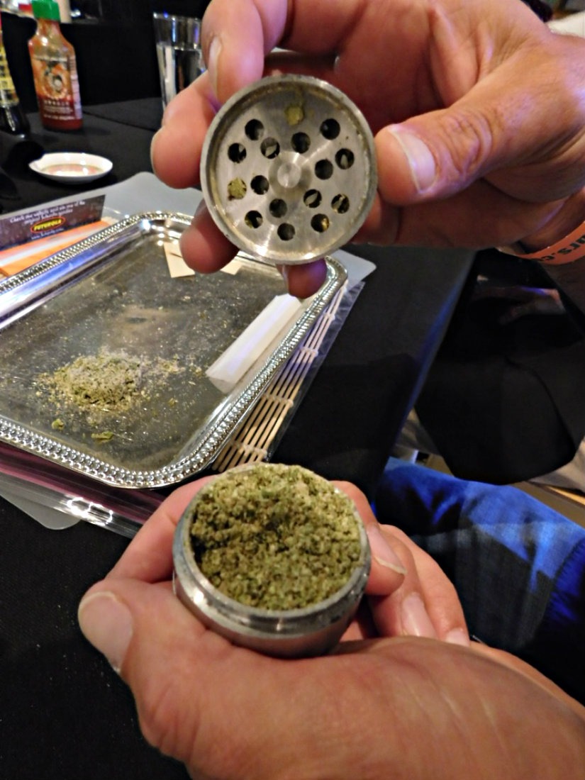 Grinding marijuana for our joint rolling class through Cannabis Tourism provider My 420 Tours 