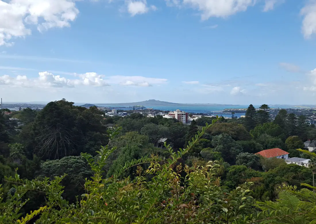 The view to Rangitoto from Eden Gardens in Auckland, New Zealand
