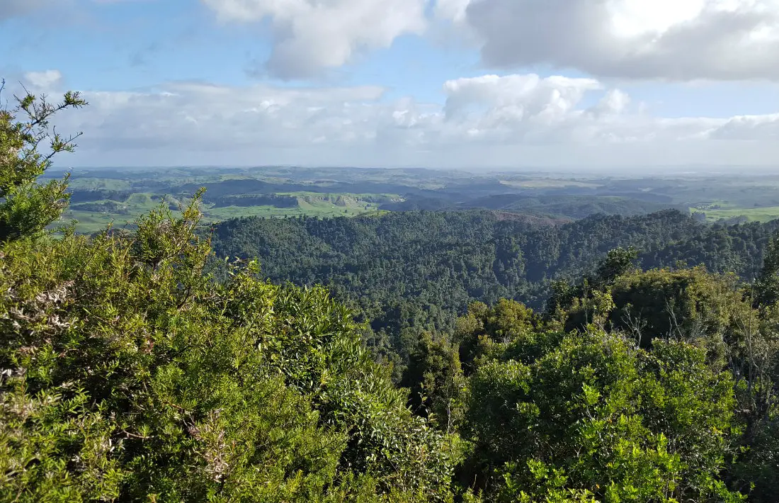 View from the Hakarimata Summit hike in Ngaruawahia 