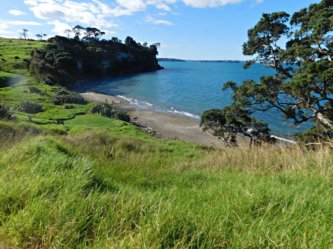 Long Bay Regional Park in Auckland, New Zealand