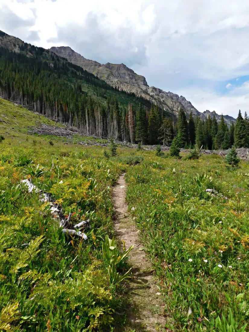 Hiking through a meadow on the hike from Crested Butte to Aspen