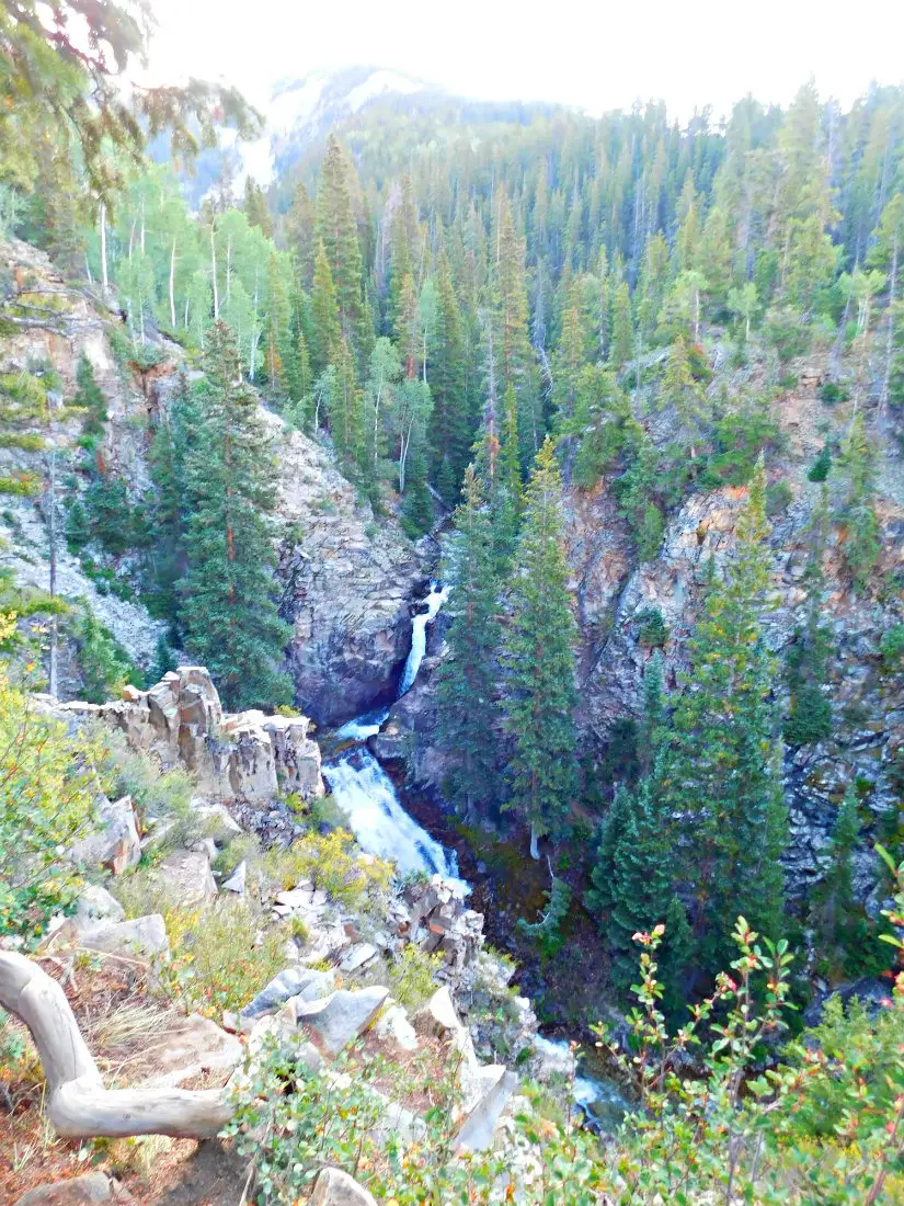 Judd Falls – the start of the hike from Crested Butte to Aspen