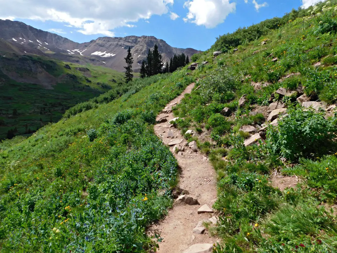 Lush meadow on the hike from Aspen to Crested Butte