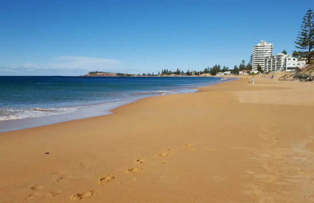 Narrabeen Beach in Sydney - a highlight of month thirty six of digital nomad life