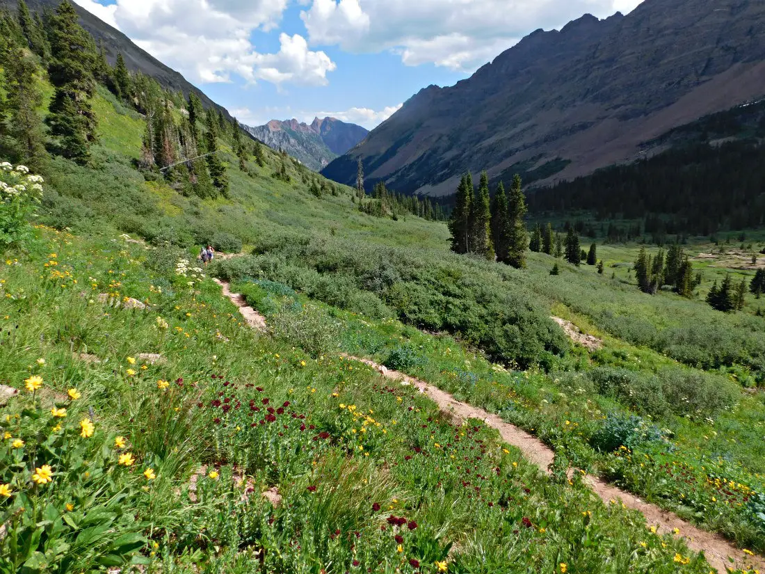 Wild flowers on the West Maroon Pass trail hike from Aspen to Crested Butte