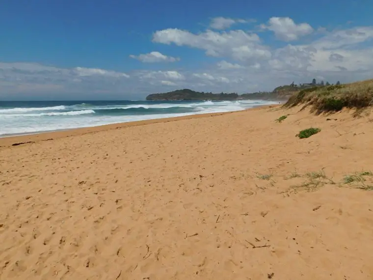 Beach in Sydney's Northern Beaches - a must visit on a 5 days in Sydney Itinerary