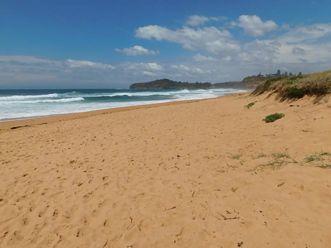 Beach in Sydney’s Northern Beaches – a must visit on a 5 days in Sydney Itinerary