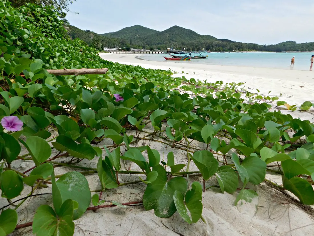 Chalok Lam beach on Koh Pha Ngan, Thailand