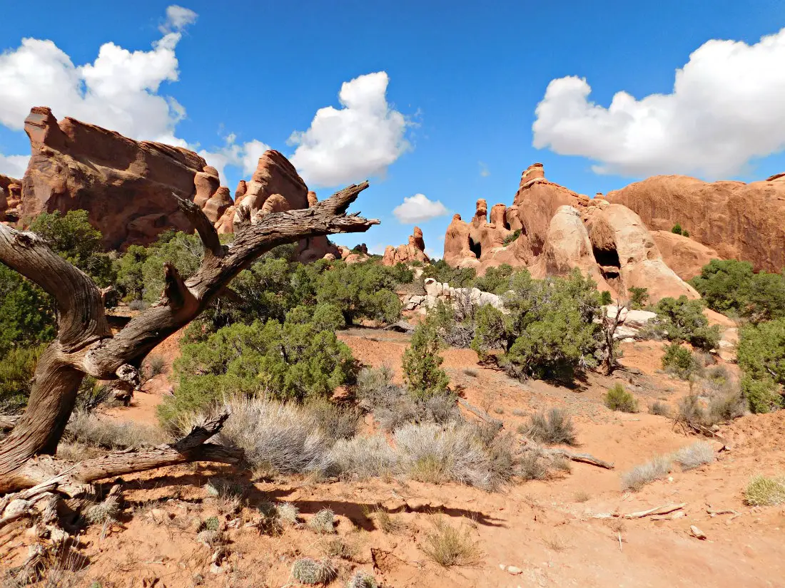 Hiking in Arches National Park during month forty of Digital Nomad Life
