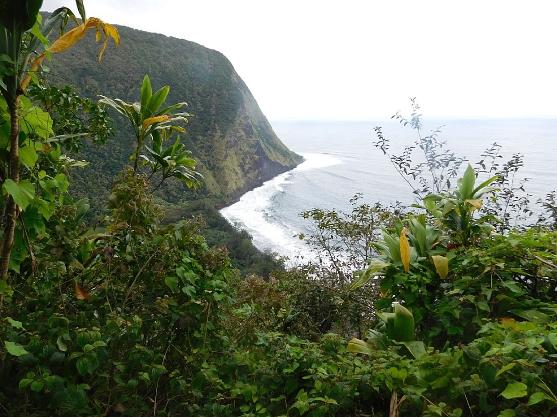 View of remote Waimanu Valley on the Big Island
