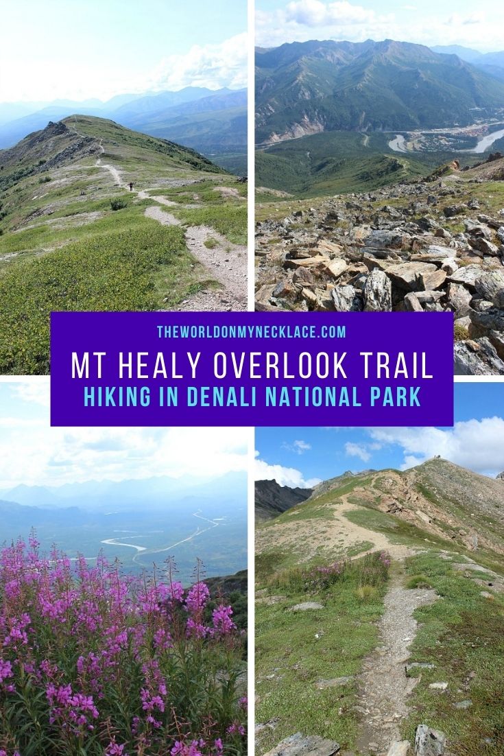 Mt Healy Overlook Trail in Denali National Park