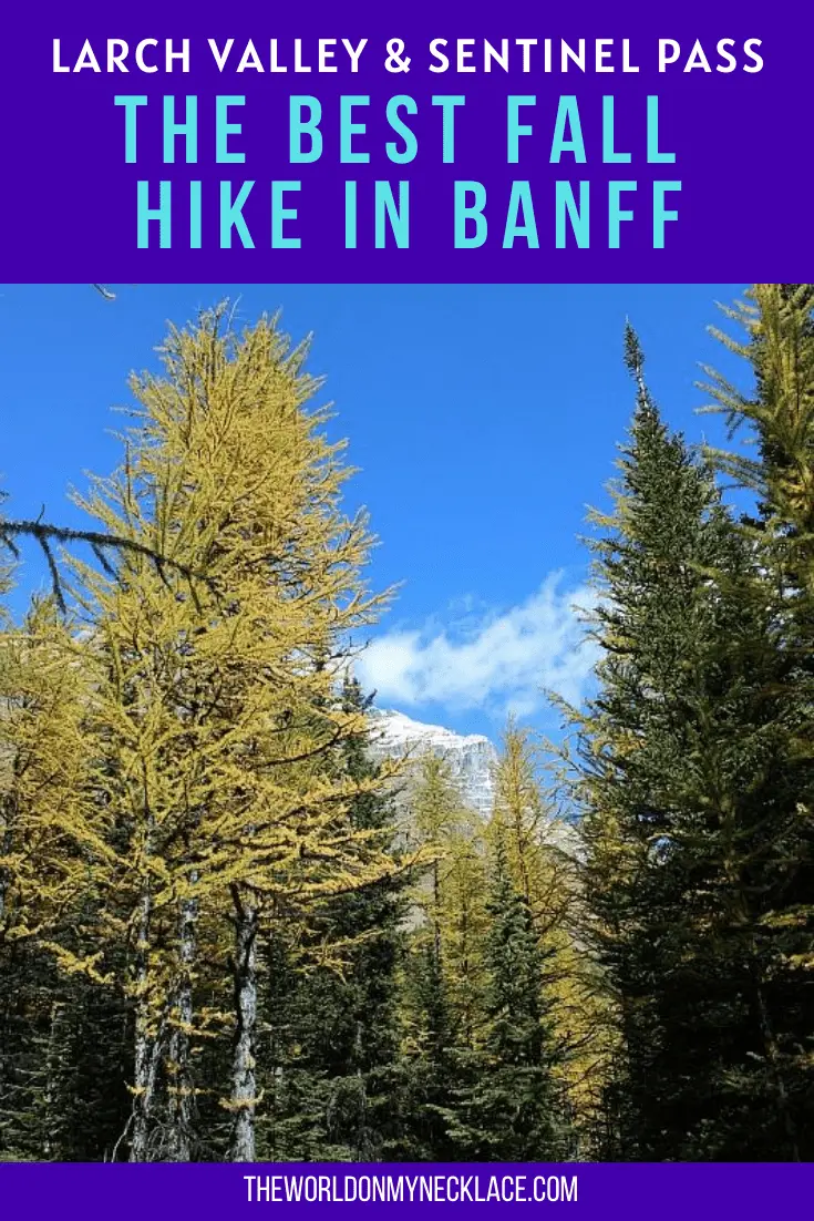 The Best Moraine Lake Hike in Fall: Larch Valley and Sentinel Pass Hike