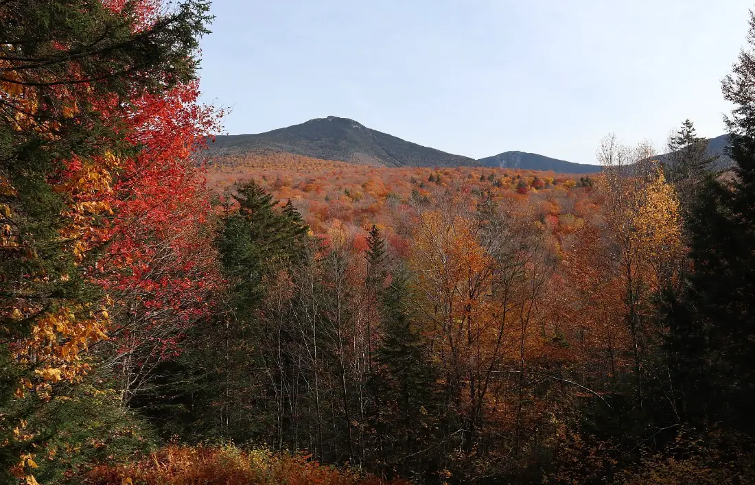 Fall colors in New Hampshire