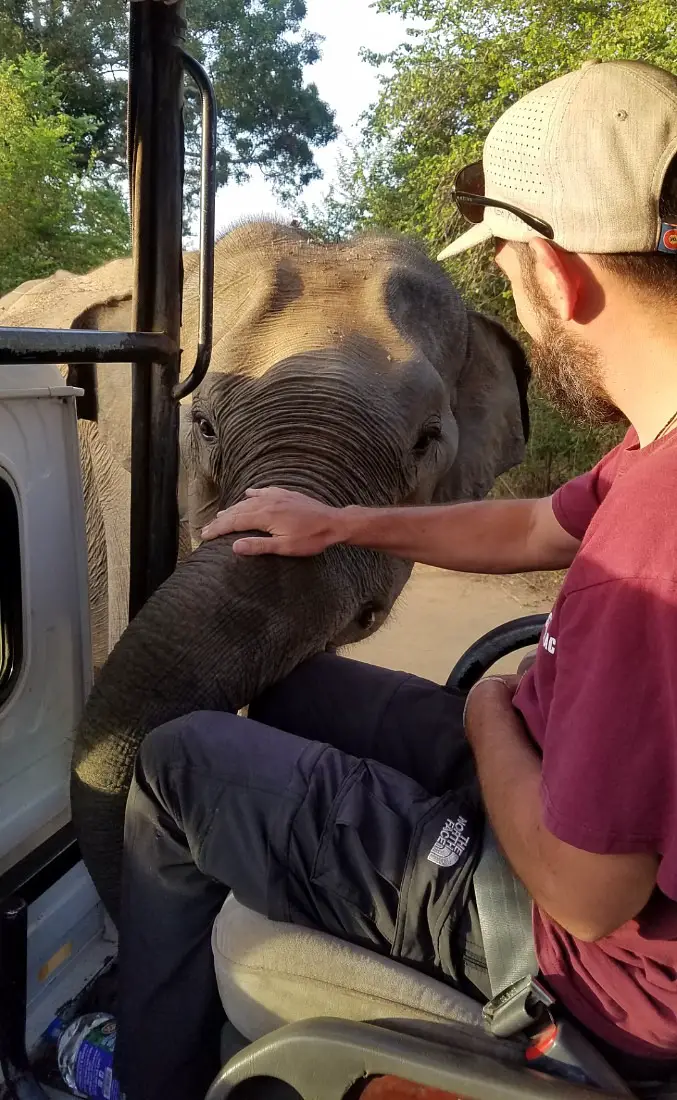 Elephant love in Udawalawe National Park