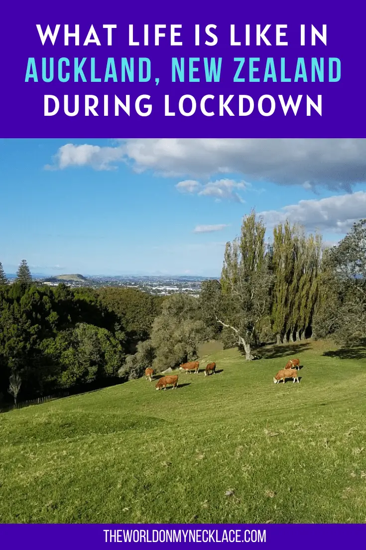 What Like is Like in Auckland During Lockdown