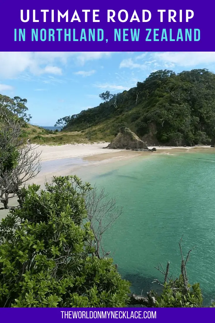 Ultimate Road Trip in Northland NZ