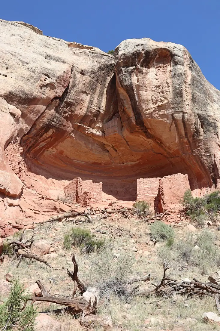 Cliff dwelling at Canyons of the Ancients National Monument