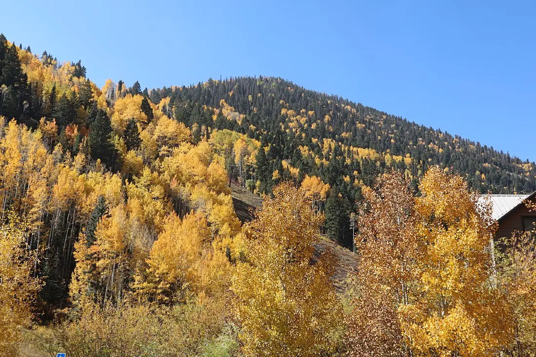 Telluride fall colors