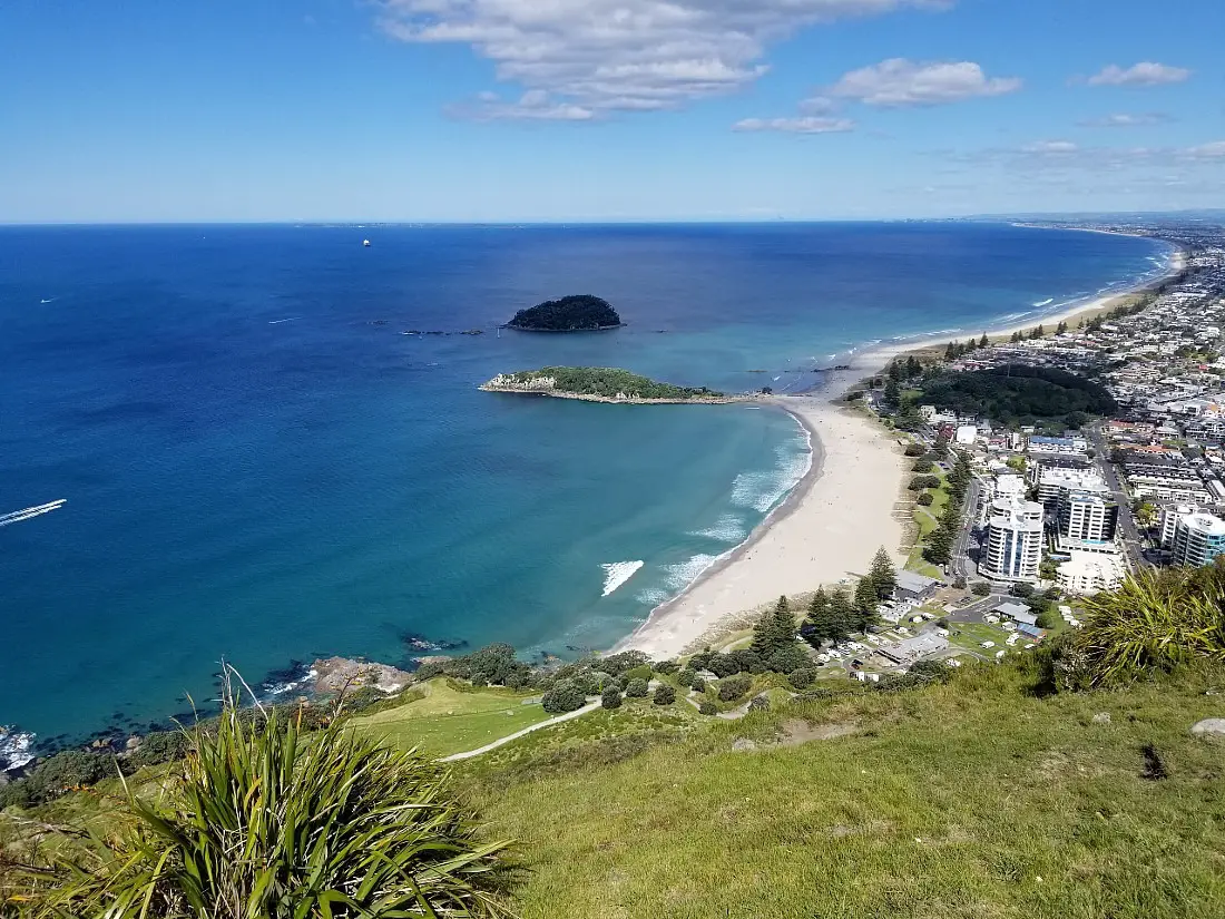 View from Mauao in the Mount