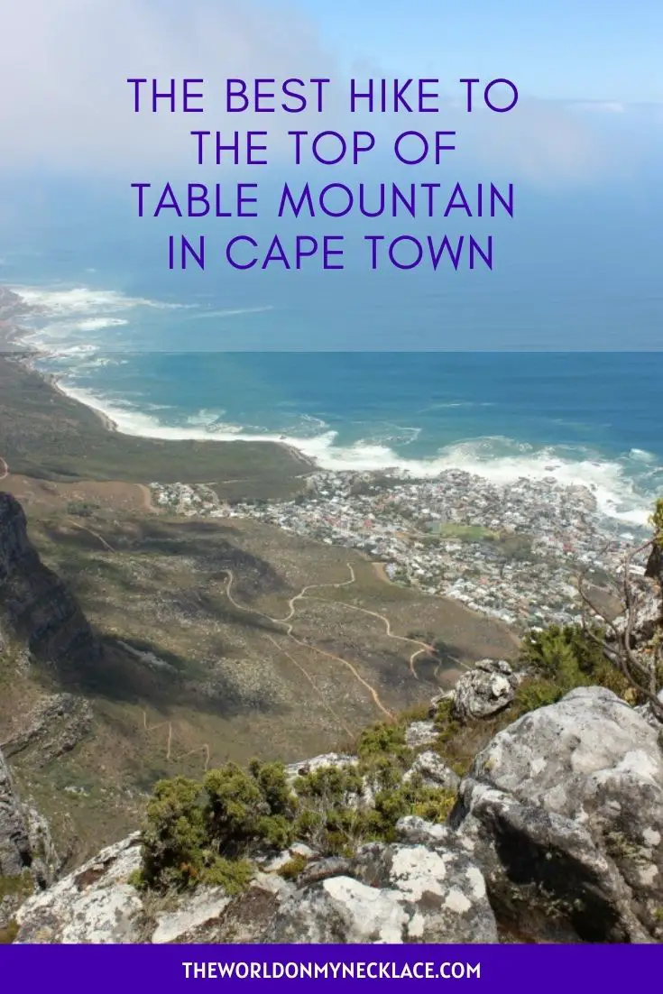 The Best Hike to the Top of Table Mountain in Cape Town