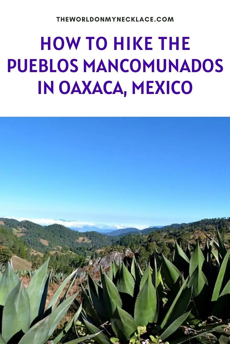 How To Hike the Pueblos Mancomunados in Mexico