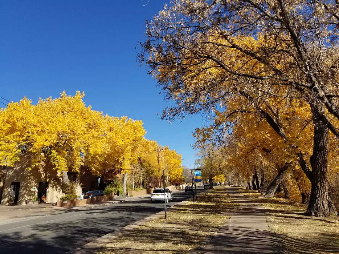 Fall colors in Santa Fe