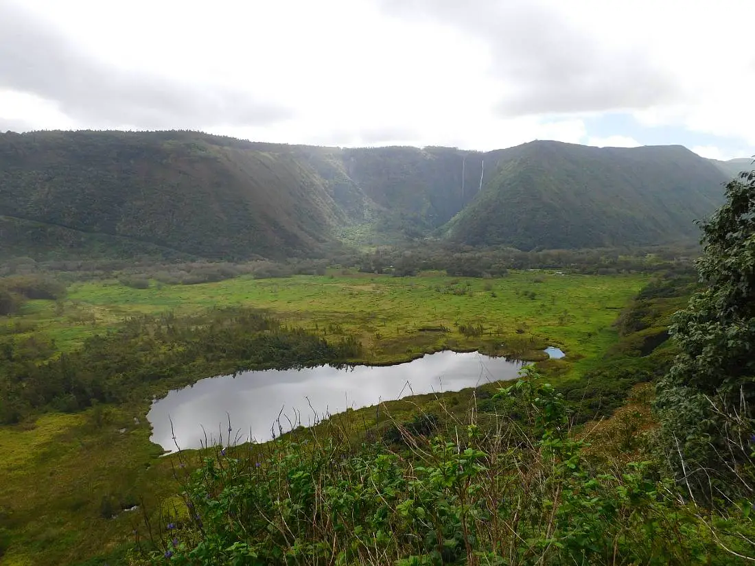 View over Waipio Valley - one of the best hikes on the Big Island