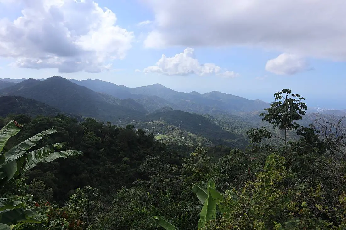 Jungle views in Medellin