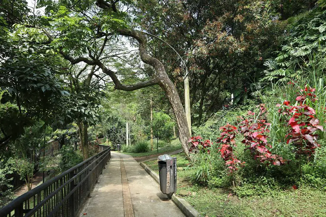 Park in Medellin